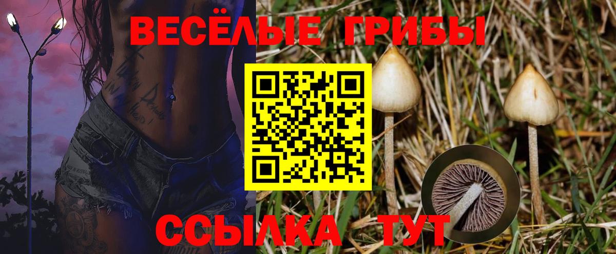 Псилоцибиновые грибы MAGIC MUSHROOMS Коломна